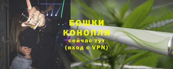прущие грибы Рославль