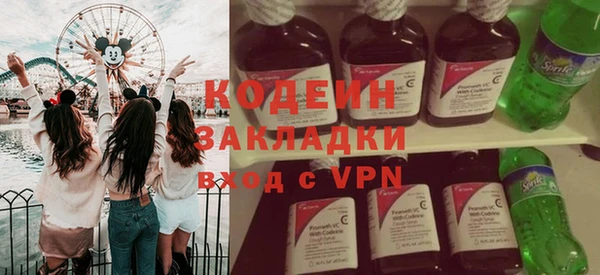 прущие грибы Рославль
