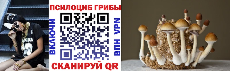 Галлюциногенные грибы ЛСД даркнет сайт Ялта